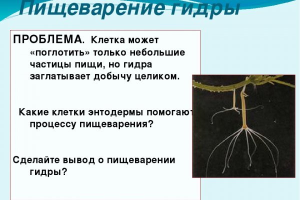 Кракен сайт 18at