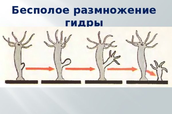 Кракен маркет