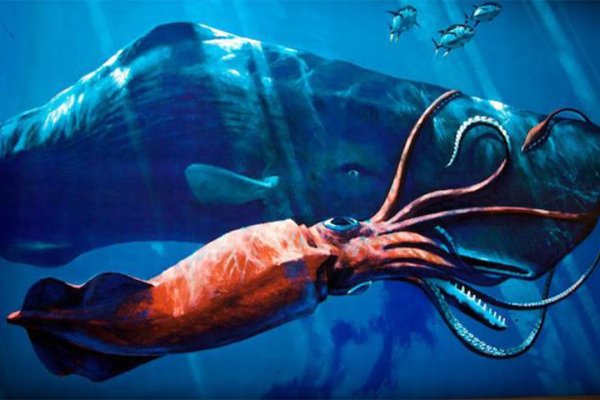 Зеркала кракен kraken014 com kraken014 com